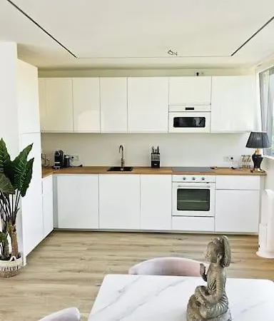 Appartement Neubau Stilvolle Dachgeschoss In Munich